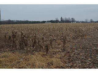 Property photo 10 - LAND AUCTION, 77 Acres offered in 3 Tracts